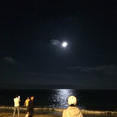 IMG 068